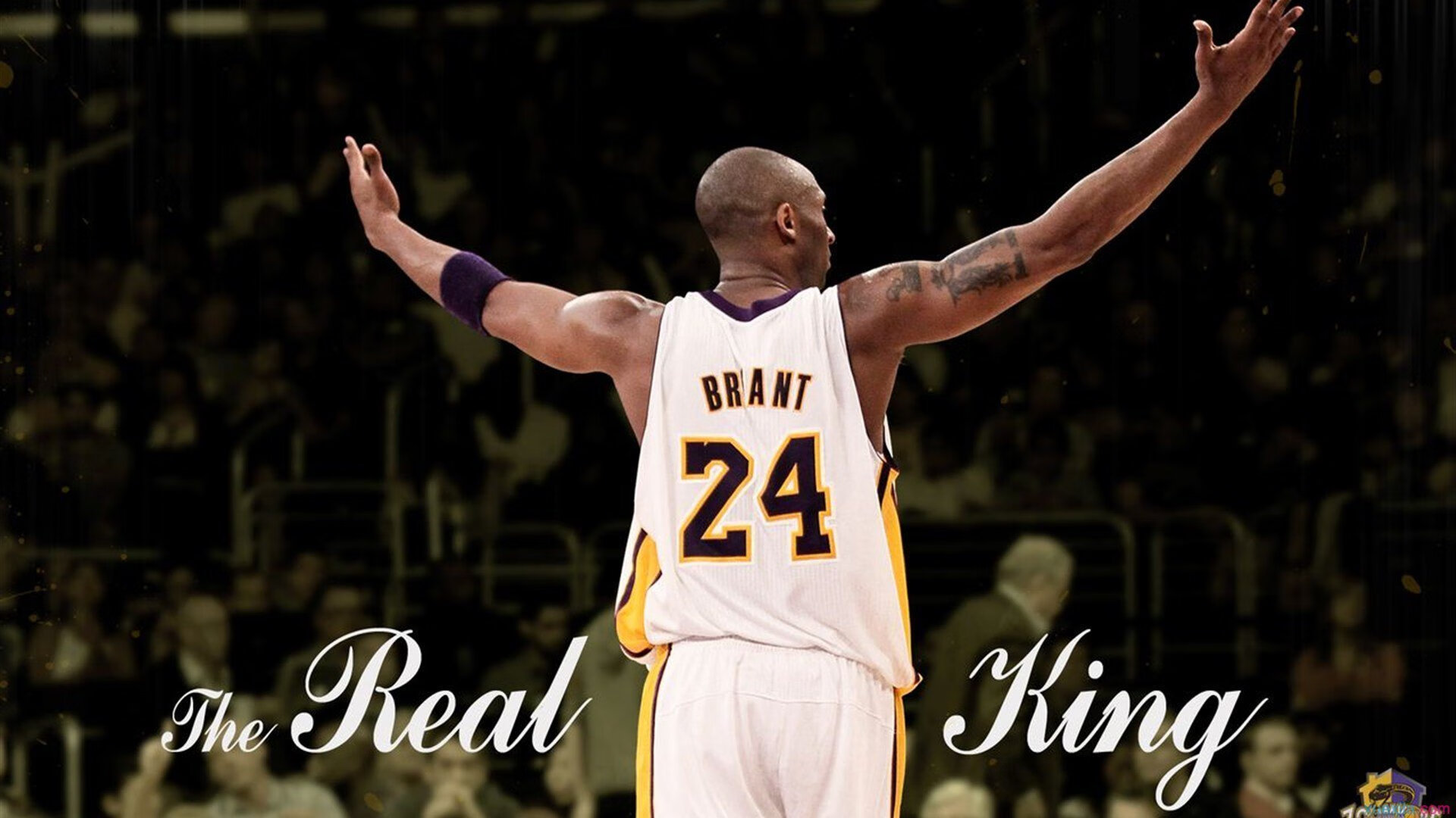 篮球运动员饮食营养科学管理，篮球运动员日常饮食